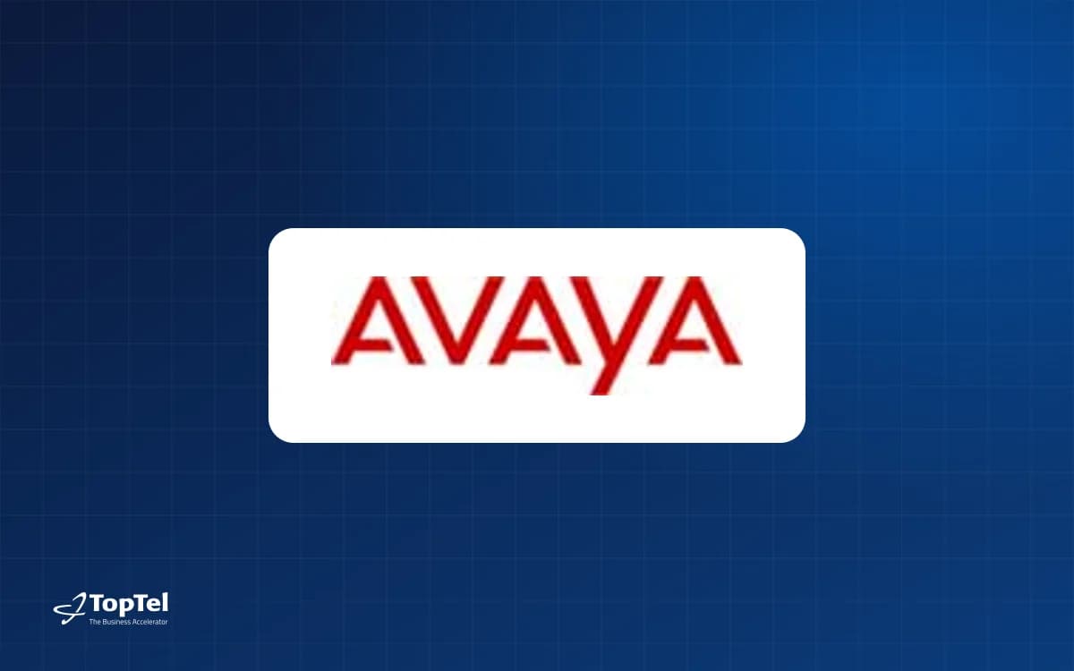 Avaya'dan bir kez daha "Value-Added Distributor of the Year" ödülü